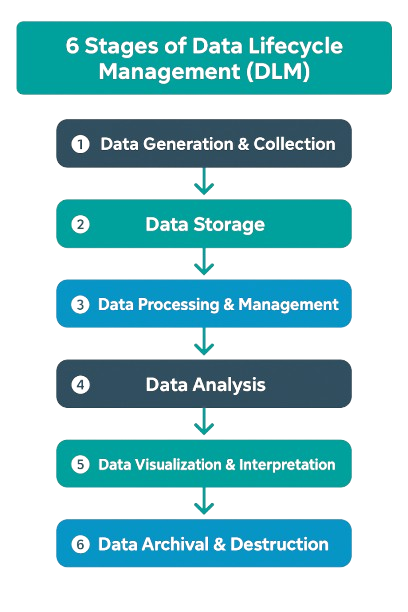 6 stages of data lifecycle management